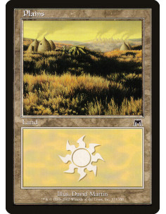 Plains - Foil
