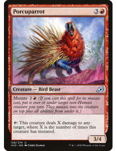 Porcuparrot - Foil