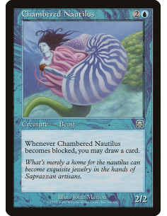 Chambered Nautilus
