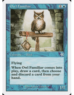 Owl Familiar
