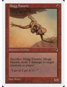 Mogg Fanatic