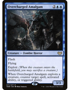 Overcharged Amalgam