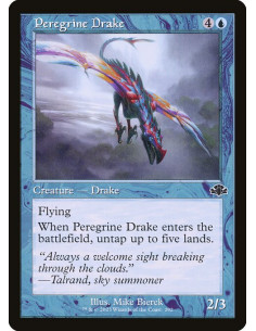 Peregrine Drake