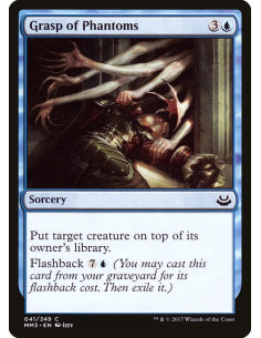 Grasp of Phantoms