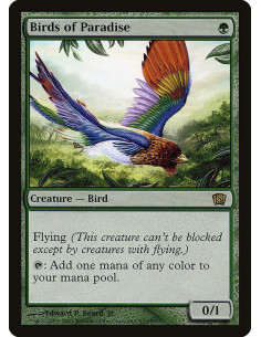 Birds of Paradise - Foil