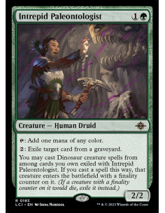 Intrepid Paleontologist - Foil