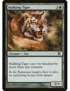 Stalking Tiger - Foil