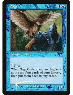 Sage Owl - Foil