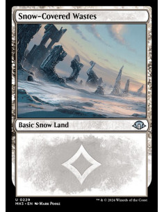 Snow-Covered Wastes - Foil