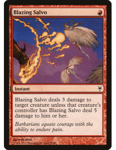 Blazing Salvo