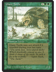 Giant Turtle