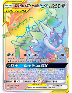 Greninja & Zoroark-GX