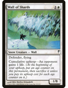Wall of Shards - Foil
