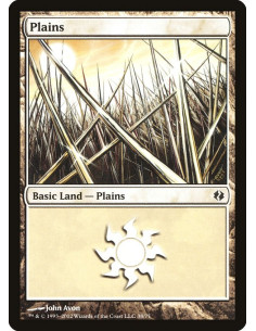 Plains