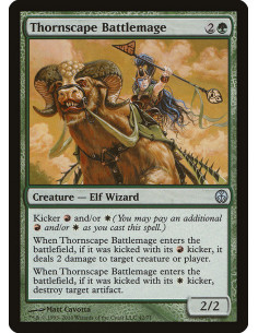 Thornscape Battlemage