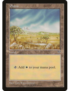 Plains