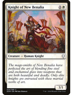 Knight of New Benalia