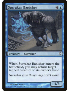 Surrakar Banisher - Foil