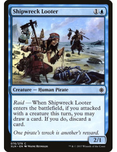 Shipwreck Looter