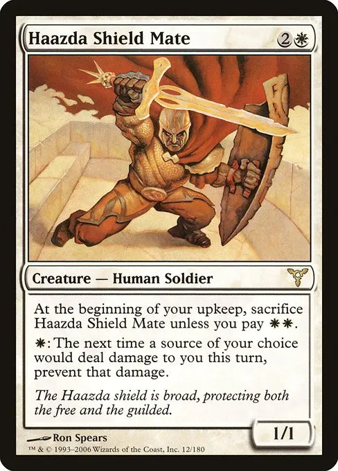 Haazda Shield Mate - Foil