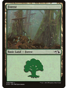 Forest