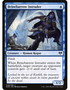 Brinebarrow Intruder