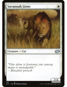 Savannah Lions