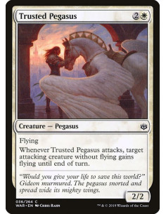 Trusted Pegasus
