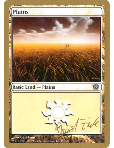Plains