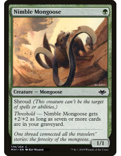 Nimble Mongoose