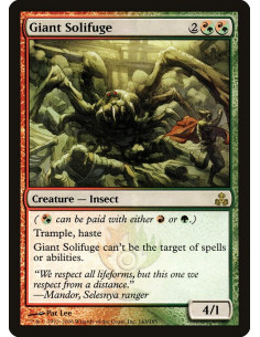 Giant Solifuge