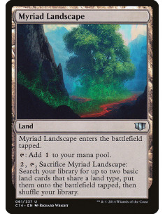 Myriad Landscape