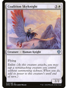 Coalition Skyknight