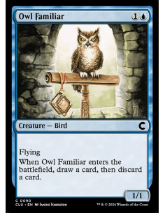 Owl Familiar
