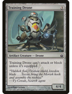 Training Drone - Foil