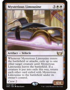 Mysterious Limousine