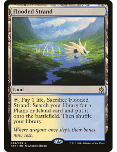 Flooded Strand - Foil