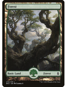 Forest - Foil