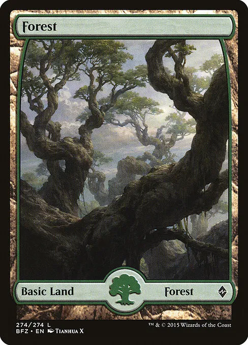 Forest - Foil