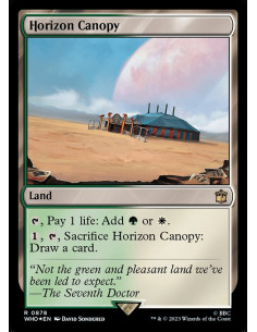 Horizon Canopy - Foil