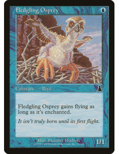Fledgling Osprey - Foil