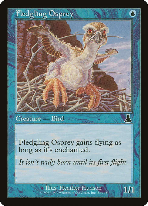 Fledgling Osprey - Foil