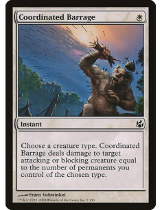 Coordinated Barrage - Foil