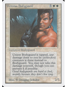 Veteran Bodyguard