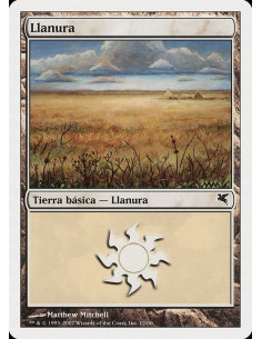 Plains