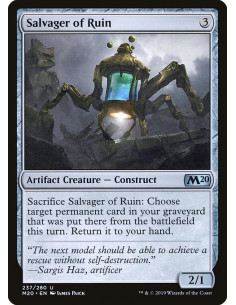 Salvager of Ruin