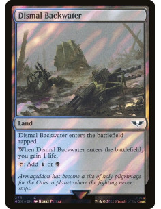 Dismal Backwater - Foil