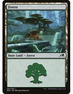 Forest