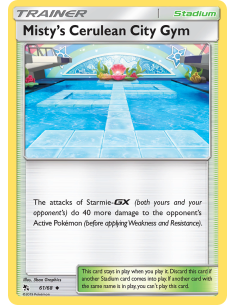 Misty's Cerulean City Gym