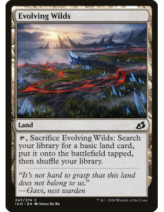 Evolving Wilds - Foil